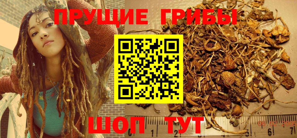 Галлюциногенные грибы Magic Shrooms Королёв
