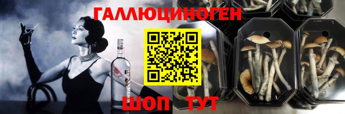 Королёв  Галлюциногенные грибы Magic Shrooms  Вход с VPN 